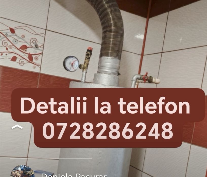 Boilar pe lemne lemne