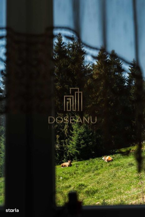 Pensiune | De Vanzare | Vartop - Arieseni