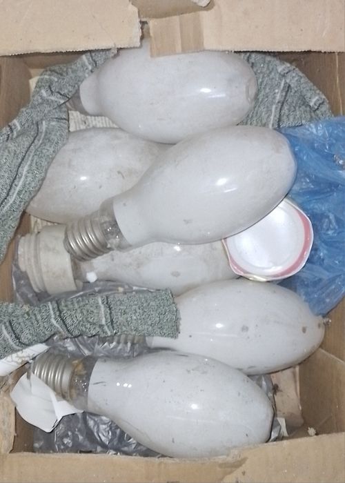 Големи Ел. Крушки