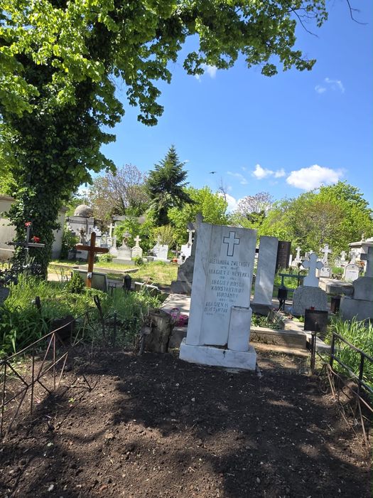 Locuri de veci la cimitirul belu figura 106 langa alee