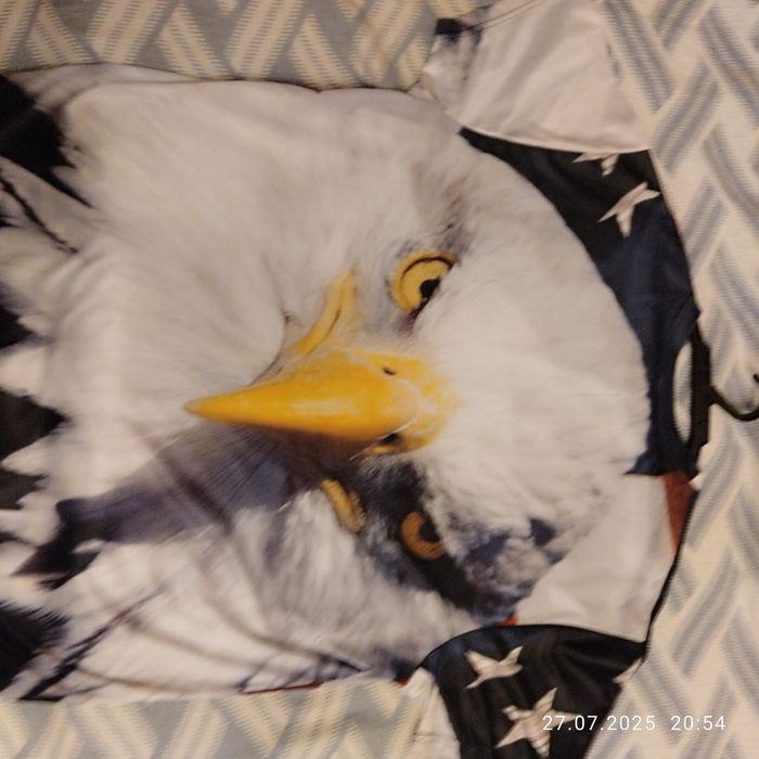 Футболка Американский Орёл