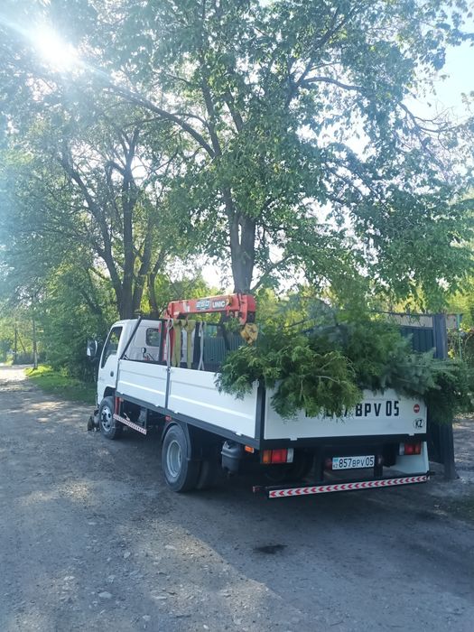 Манипулятор маленький, не дорого