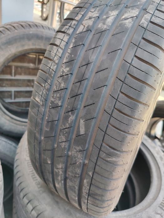 Tracker primier diskasi balonlari bn sotiladi