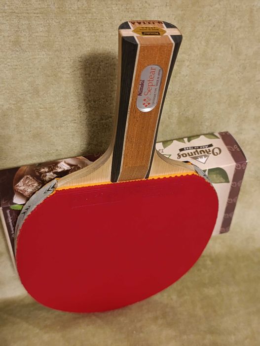 Paleta de tenis de masa Nittaku Septear