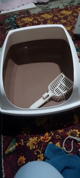 Лоток для кошек нов