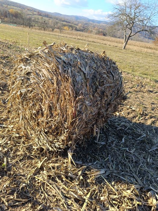 Baloți rotunzi de tulei tocați!