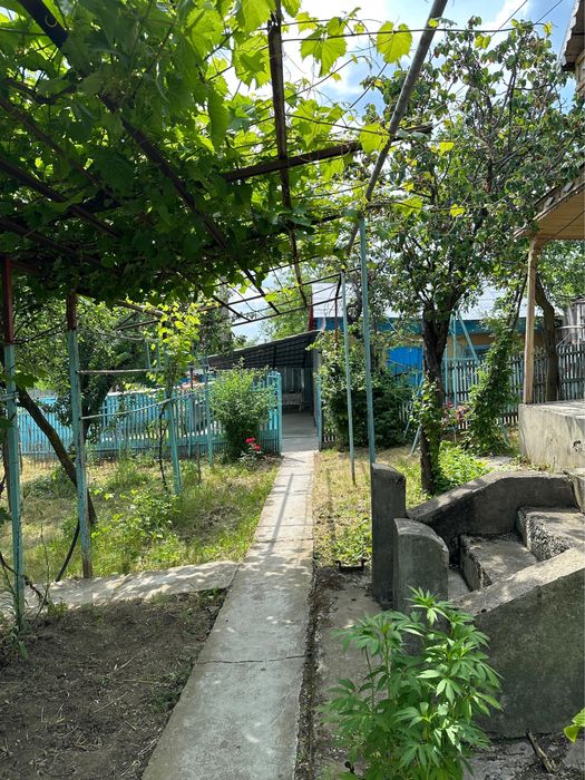 Casa + anexe + vie 1900mp Bichesti, Boghesti, Vrancea