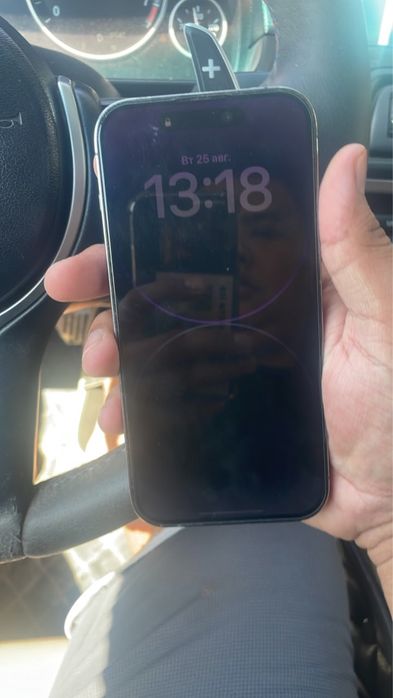 iPhone 14 Pro Max