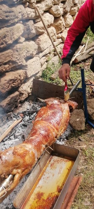 Чеверме на 12 и 220 волта