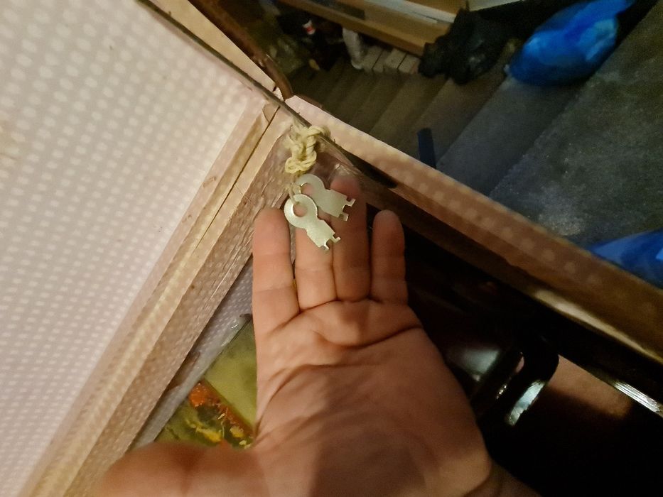 Geamantan vintage 1979