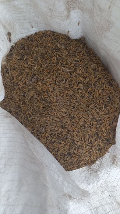 Продам корма для животных