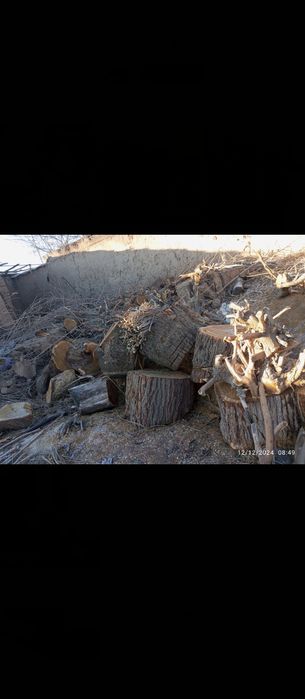 Oʻ tin sotiladi kelishtiramiz