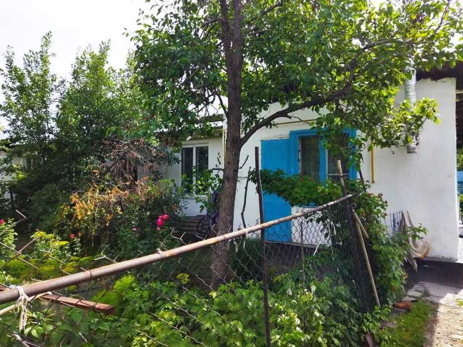 Дом Новостойка Павел ИмпериЯ