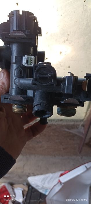 Ariston 30 genus