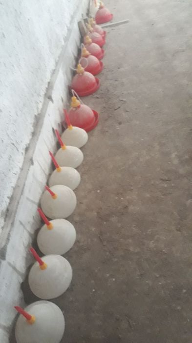 Кармушка.йем ва сув идишлар сотилади товуклар учин