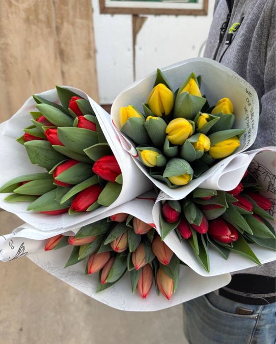 Тюльпаны оптом из собственной теплицы