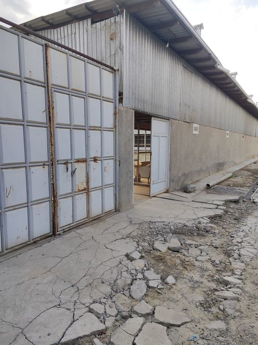 Uy sotiladi 11 sotix