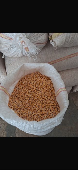 Vand porumb uscat in saci 35 kg