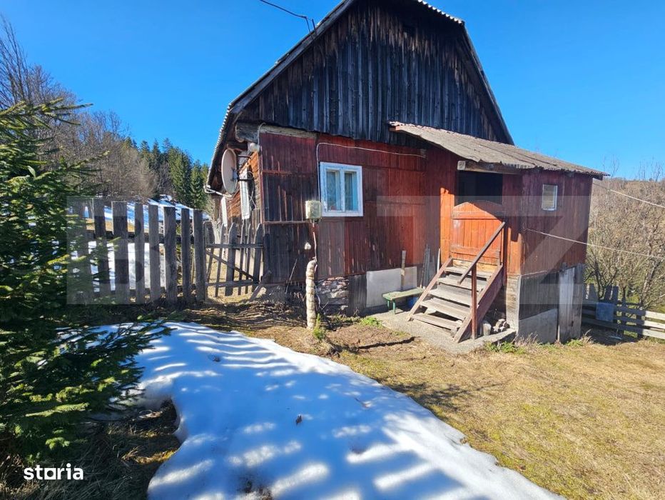 Teren 2 ha, cu padure proprie si panorama spre munti, Arieşeni