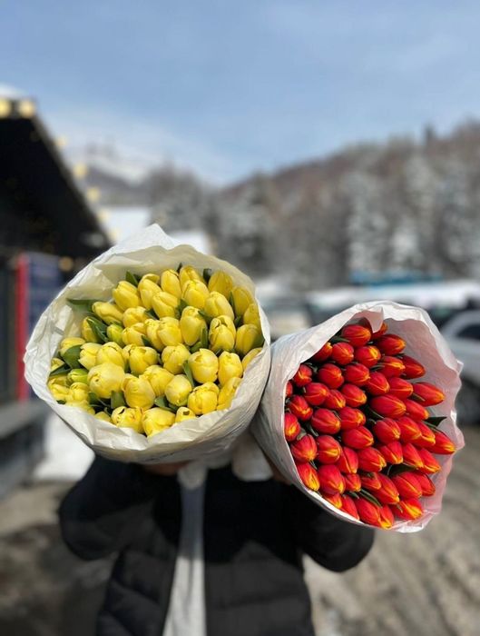 Тюльпаны букет цветов