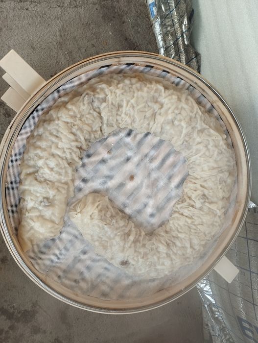 Бамбуклик манти козон