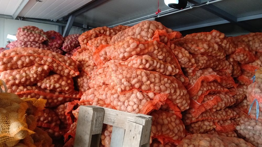 Cartofi animale 074[060]45[98)