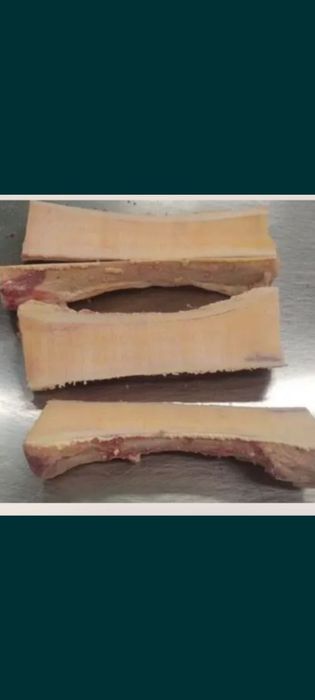 Продам костный мозг