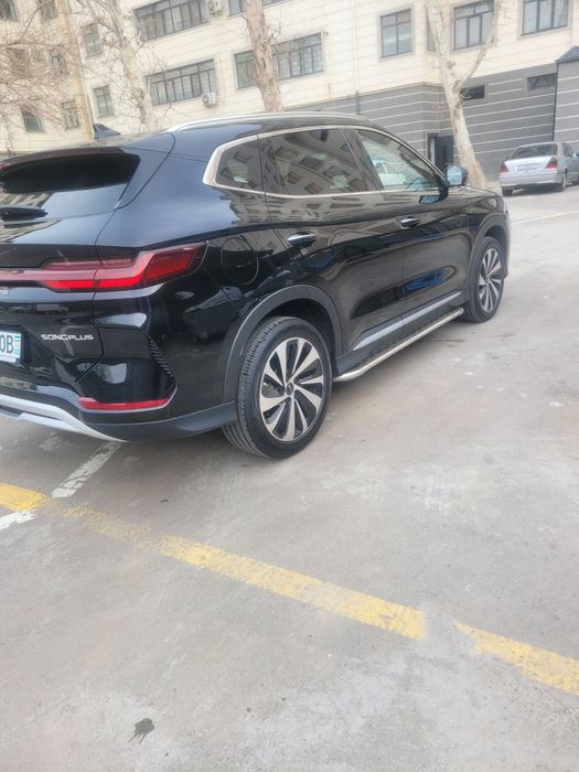 BYD song+ chempion gibrit