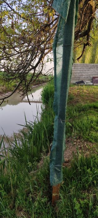 Уй сотилади Дача боп