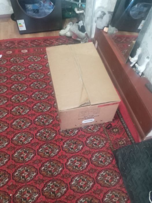 Casela elektrichiski katyol