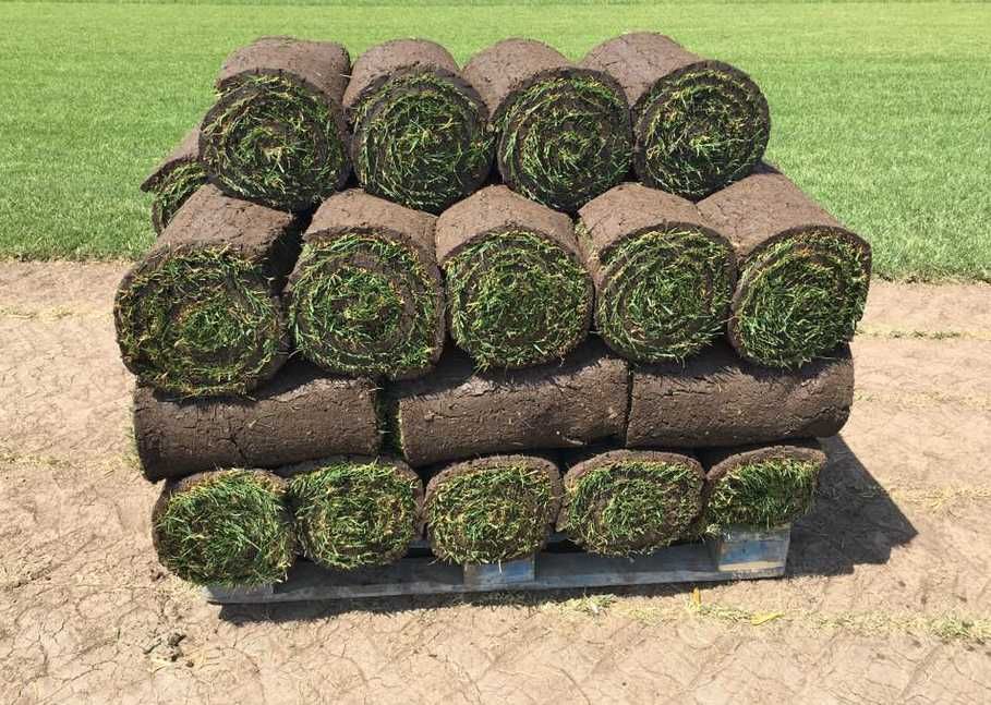 Gazon Rulou Proaspăt – Livrare în Toată Țara și Montaj