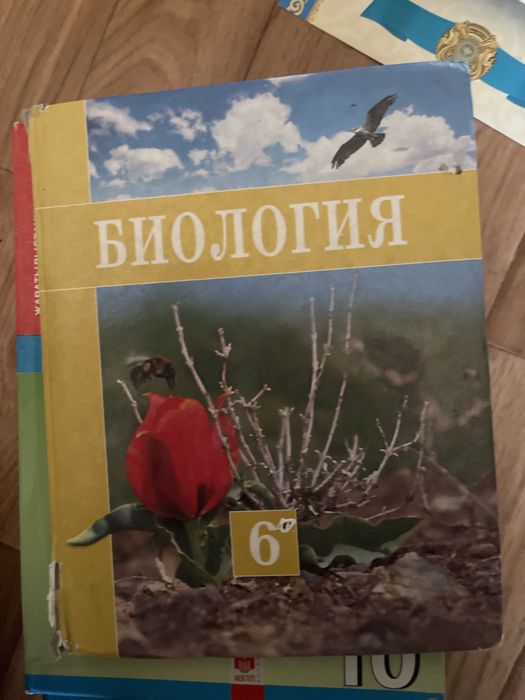 Китаптар, мектеп программасы бойынша ентга дайындык