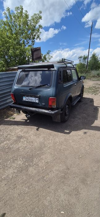 Продам дивного коня, нива