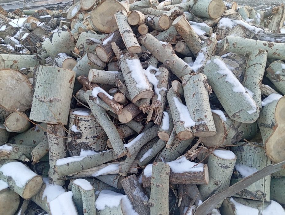 Дрова чурками продам