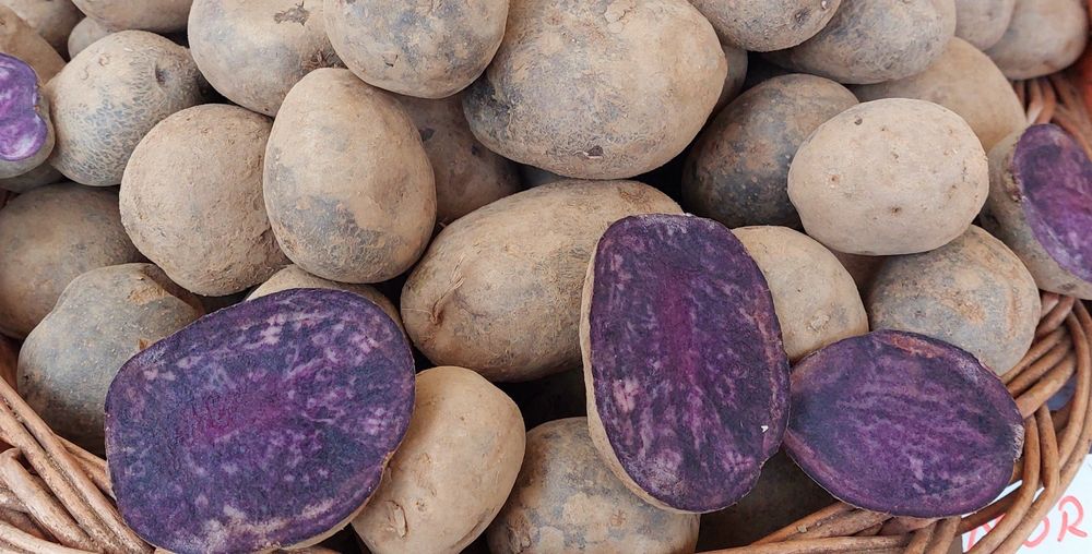 Cartofi mov de sămânță