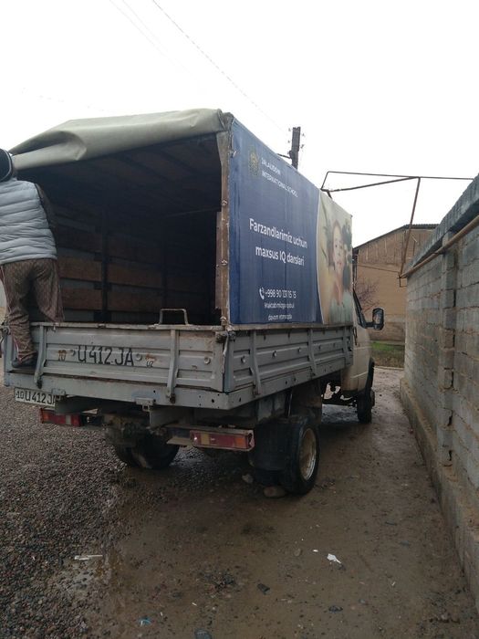 Gazel газель gazelle