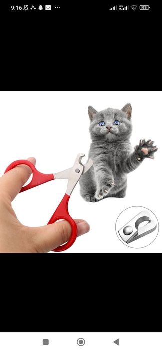 Itlar va mushuklar uchun