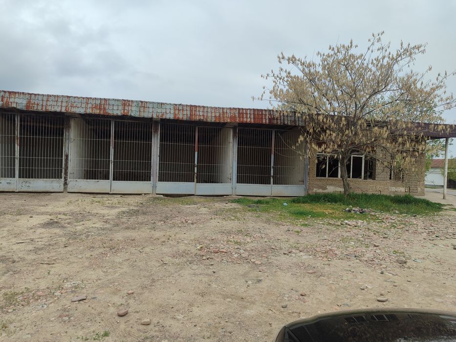 Noturar bino sotiladi