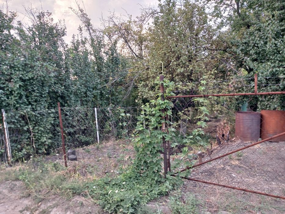 Продам дачу в г. Текели