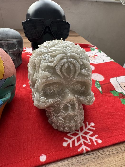 Коллекция черепов