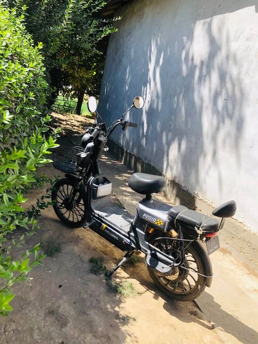 ррррррррррррррррррр