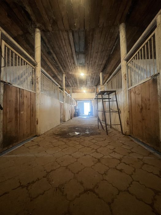 Продается откормочный цех для крс