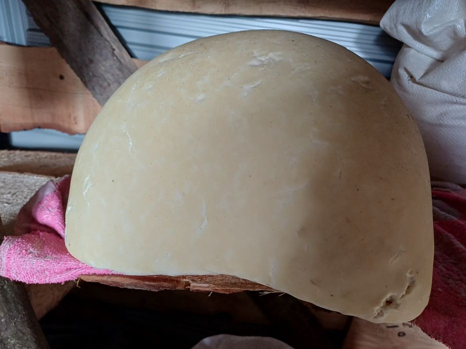 Brânză de oaie din Banat de la munte din vara