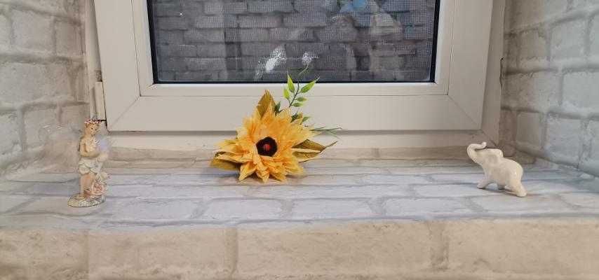 Дава се под наем Магазин в Свищов - 30 кв.м за 91.8 € - Снимка #6