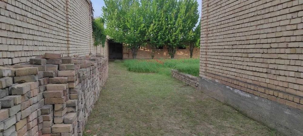 Янгийул шахарда ШЕРДОР туйхонаси ёнида 8-сотих