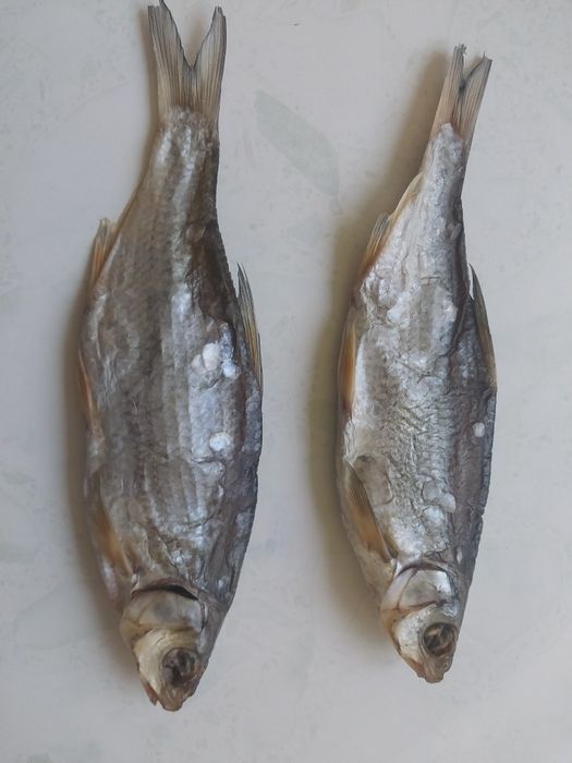 Вялянный рыбец рыба