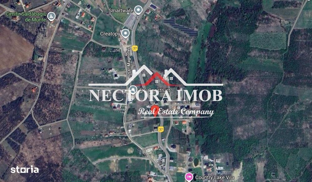 NECTORA IMOB-Exclusivitate Teren Intravilan Saldabagiu de Munte 1223mp