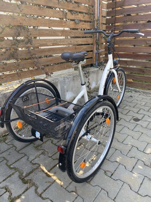 Tricicleta Terapeutica Schuchmann Momo