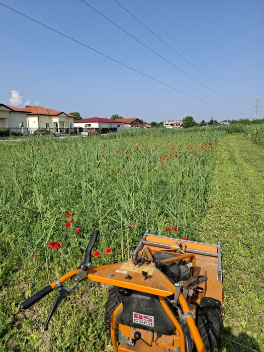 Косене на трева и почистване на затревени терени и соларни паркове