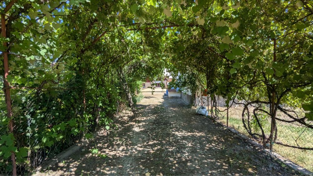 Casă cu teren 4180 mp